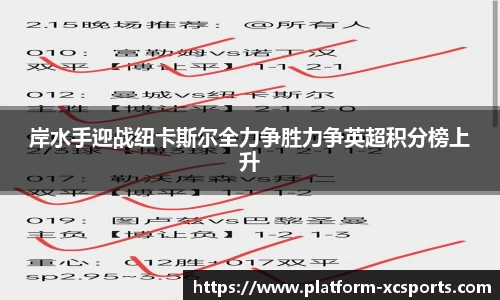 杏彩体育网站